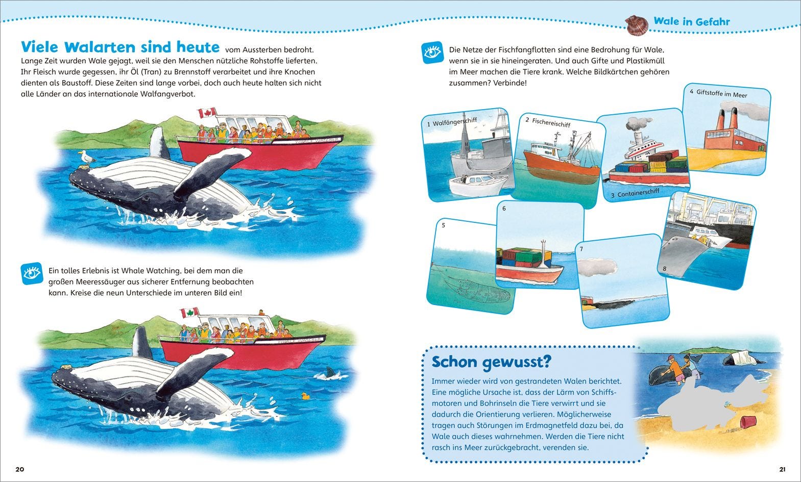 Malen Tessloff WAS IST WAS Junior // Mitmach-Heft // Wale und Delfine