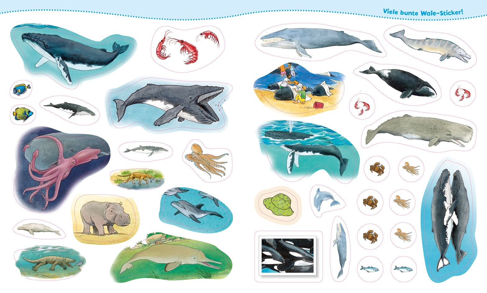 Malen Tessloff WAS IST WAS Junior // Mitmach-Heft // Wale und Delfine