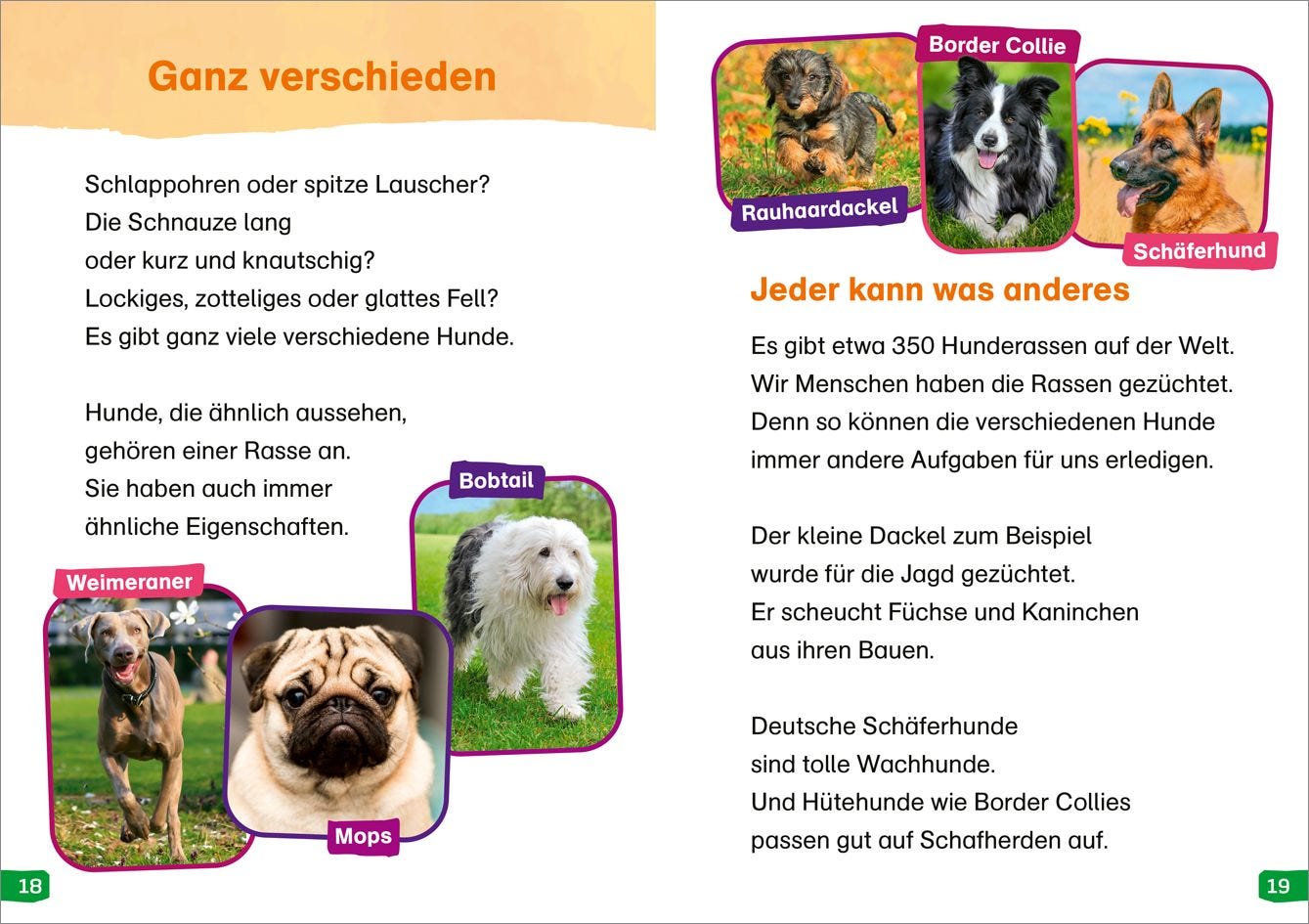 Sachbuch Tessloff WAS IST WAS Erstes Lesen easy! Band 9. Hunde - meine Lieblingstiere
