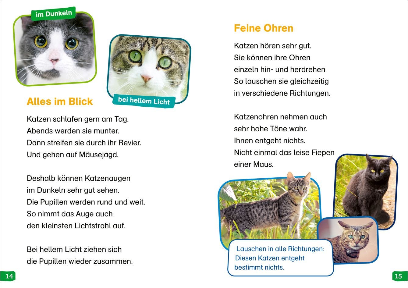 Sachbuch Tessloff WAS IST WAS Erstes Lesen easy! Band 10. Katzen - meine Lieblingstiere