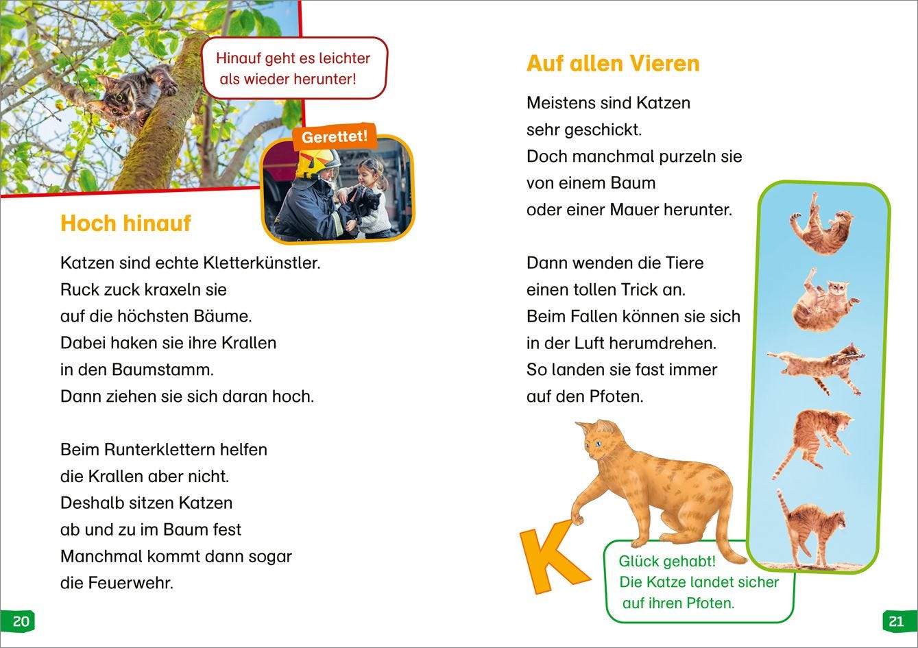 Sachbuch Tessloff WAS IST WAS Erstes Lesen easy! Band 10. Katzen - meine Lieblingstiere