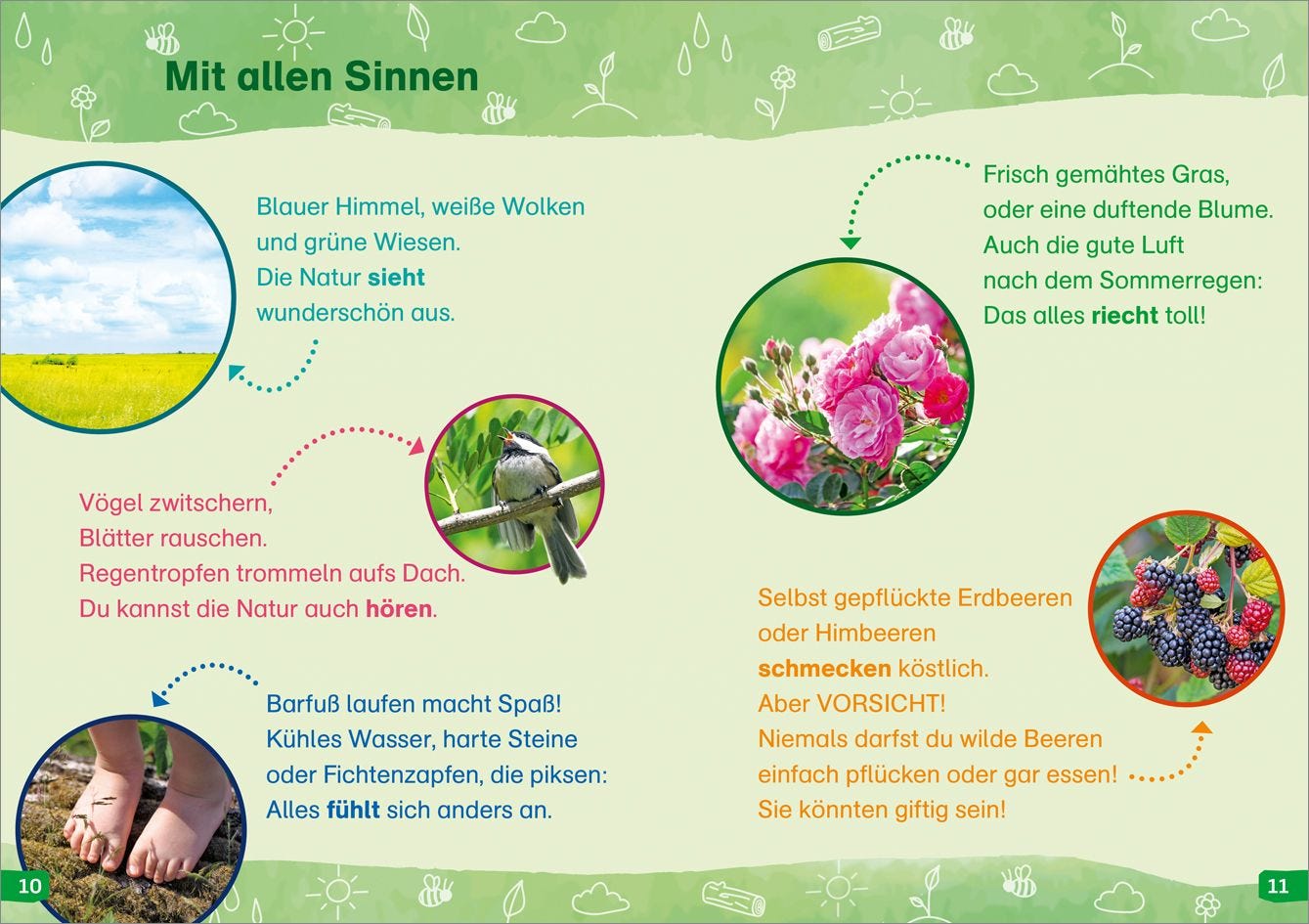 Sachbuch Tessloff WAS IST WAS Erstes Lesen easy! Band 11. Raus in die Natur