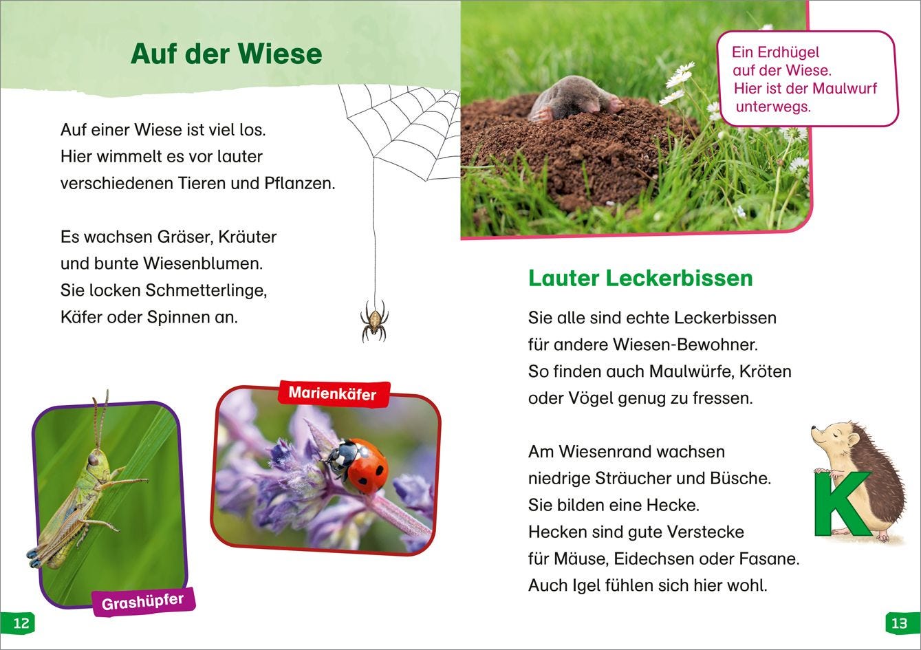 Sachbuch Tessloff WAS IST WAS Erstes Lesen easy! Band 11. Raus in die Natur