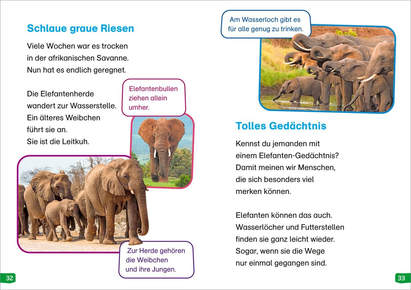 Sachbuch Tessloff WAS IST WAS Erstes Lesen easy! Band 12. Echt schlaue Tiere