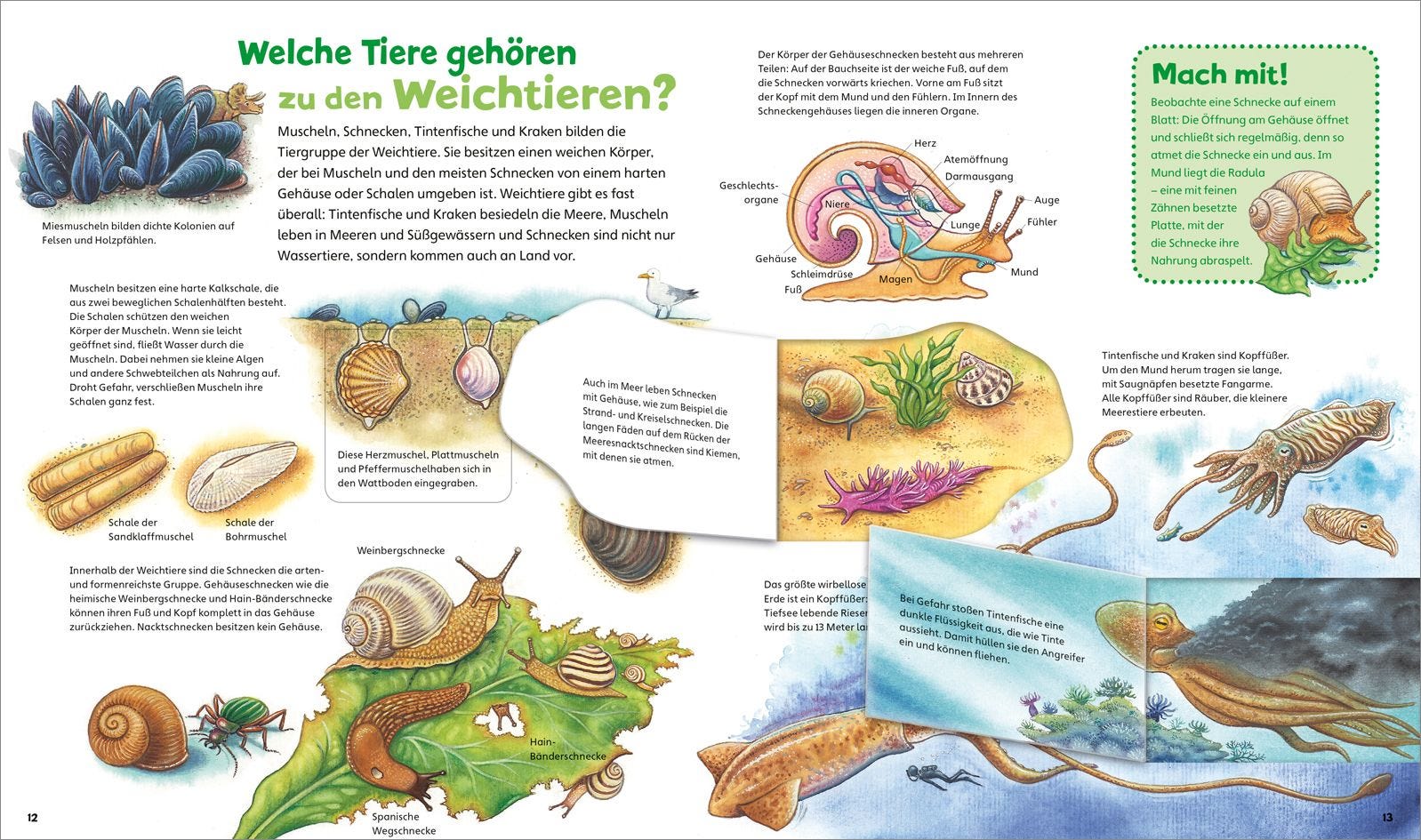 WAS IST WAS Junior Alles lebt! Von klitzeklein bis riesengroß