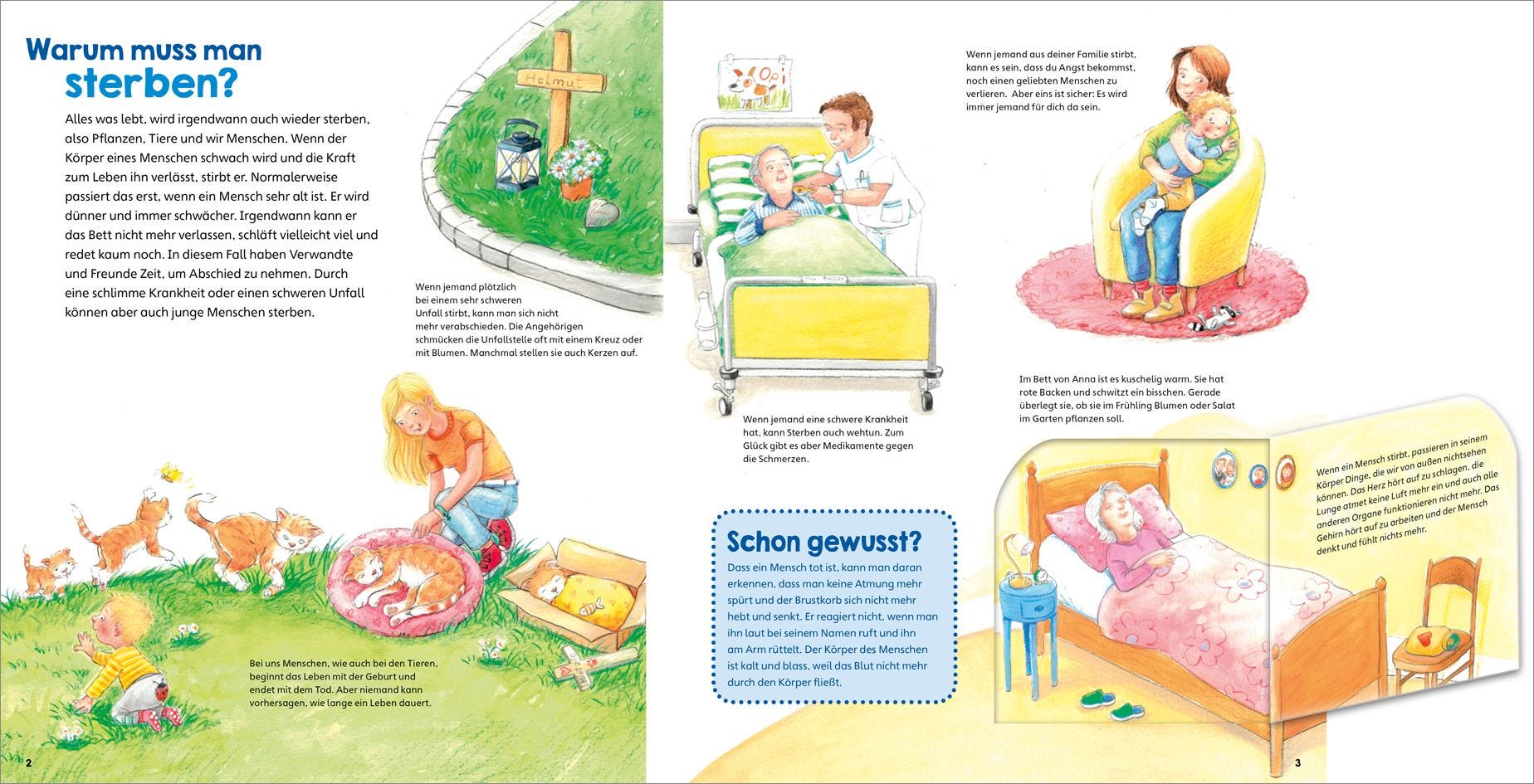 Buch Tessloff WAS IST WAS Junior Band 38 Abschied nehmen - Tod, Trauer und Erinnerung
