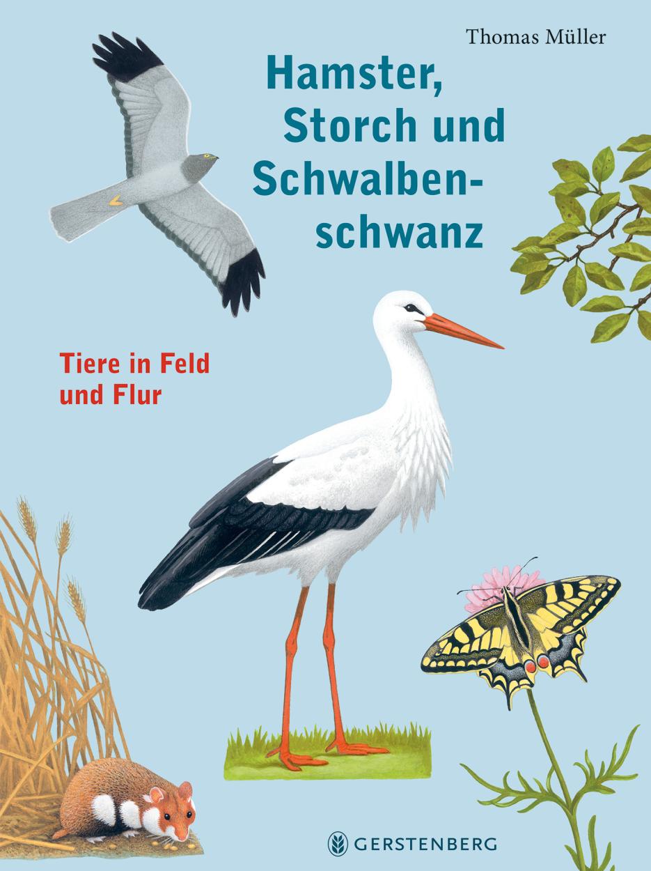 Sachbuch Gerstenberg Verlag Hamster, Storch und Schwalbenschwanz