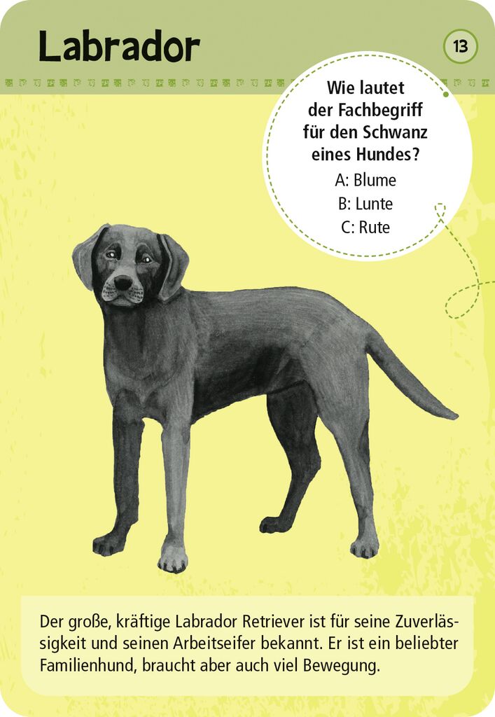 Moses 50 Karten / Pocket Quiz Moses Verlag Expedition Natur 50 Haustiere