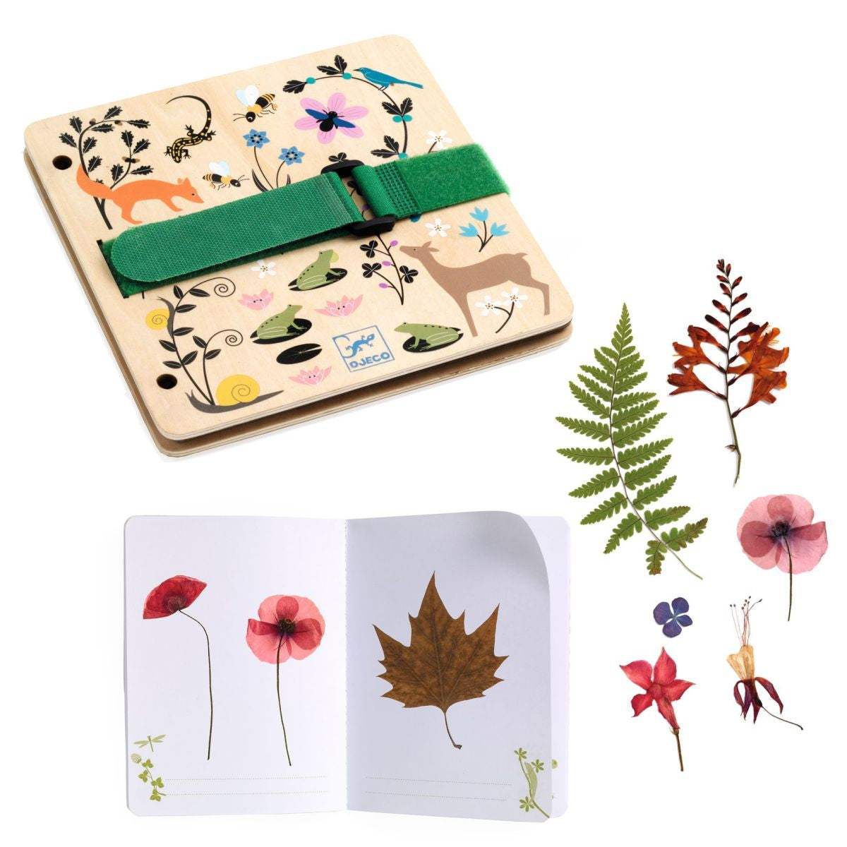 Basteln DJECO DIY: Pflanzenpresse & Herbarium