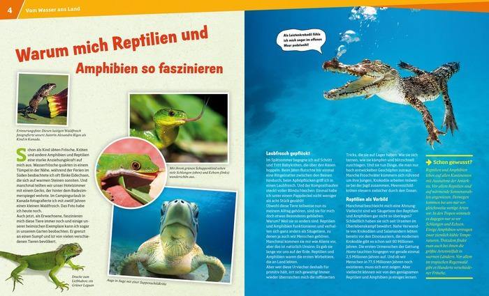 Buch Tessloff WIW Bd. 20 Reptilien und Amphibien