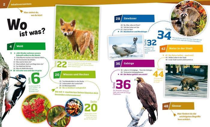 Buch Tessloff WIW Bd. 68 Natur