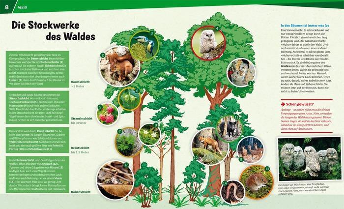 Buch Tessloff WIW Bd. 68 Natur