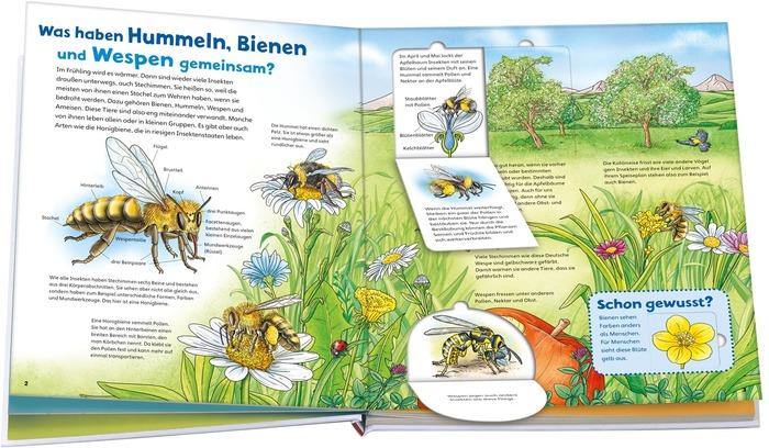 Buch Tessloff WIW Junior Bd. 34 Bienen - Wespen - Hummeln