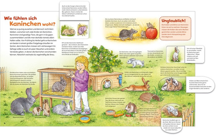 Sachbuch Tessloff WAS IST WAS Junior Meine liebsten Haustiere