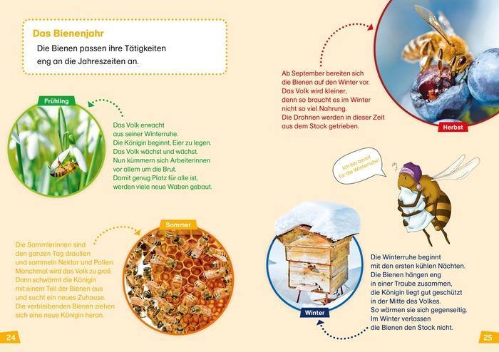 Buch Tessloff WIW Erstes Lesen Bienen