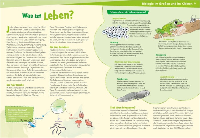 Sachbuch Tessloff WAS IST WAS Naturwissenschaften easy! Biologie. Die Viren und wir