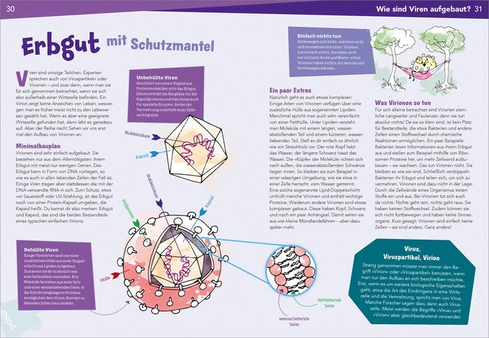 Sachbuch Tessloff WAS IST WAS Naturwissenschaften easy! Biologie. Die Viren und wir
