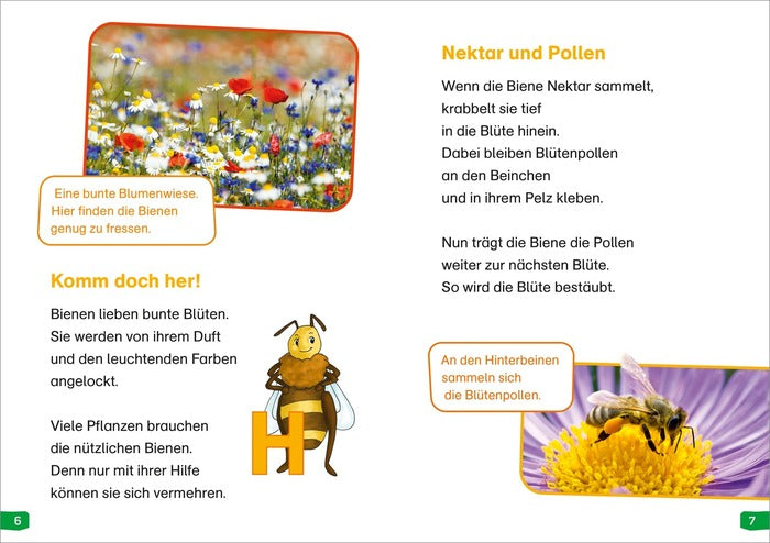 Sachbuch Tessloff WAS IST WAS Erstes Lesen easy! Band 3: Wie lebt die Honigbiene?