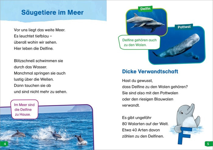 Sachbuch Tessloff WAS IST WAS Erstes Lesen easy! Band 5: Wie leben die Delfine?