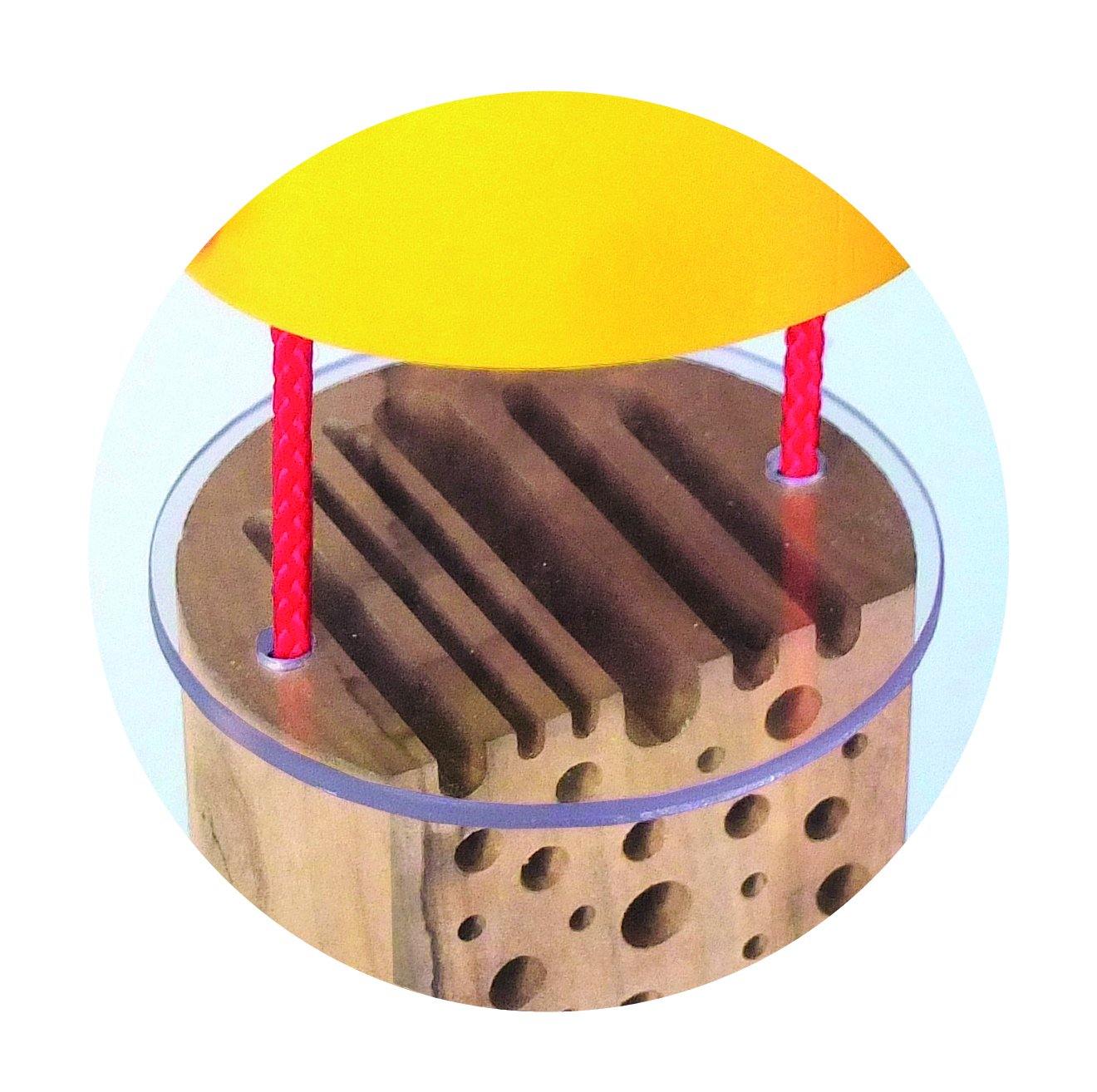 Spielzeug für Draußen NASEWEISS Insektenhotel