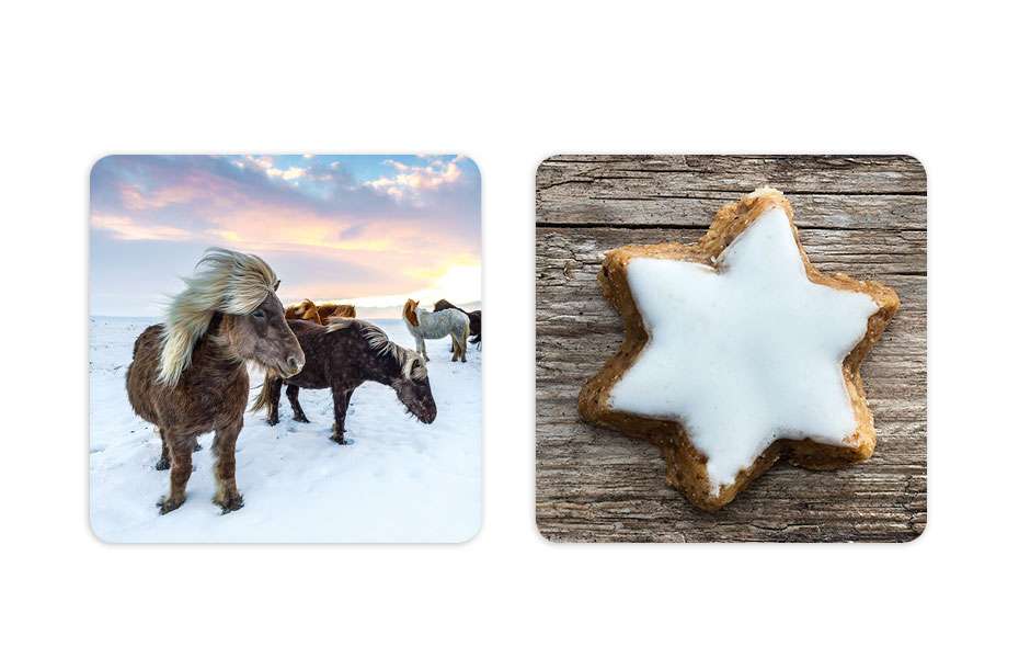 Gesellschaftsspiel klein & groß Verlag Zimtstern gesucht