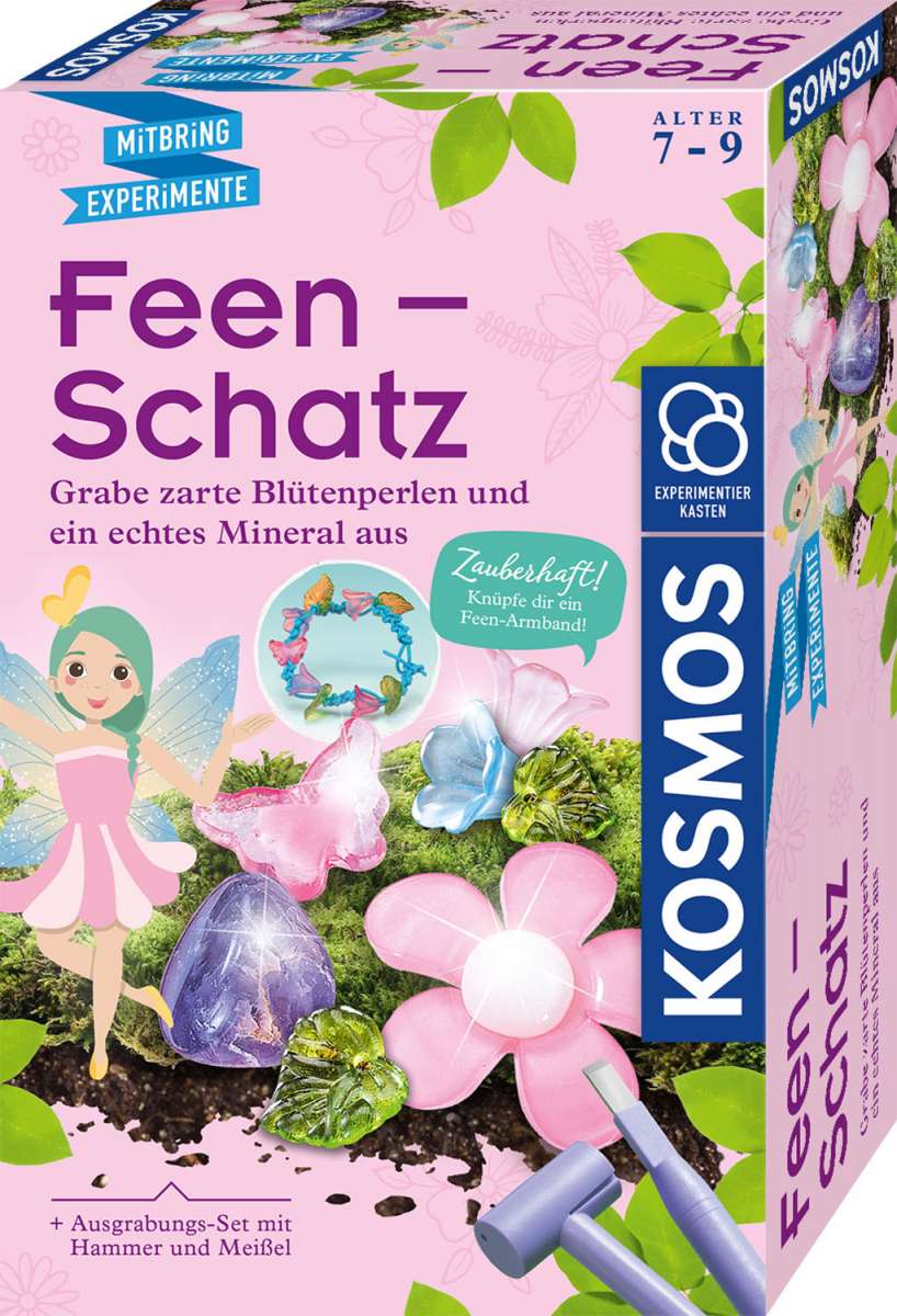 Experiment KOSMOS Feen-Schatz