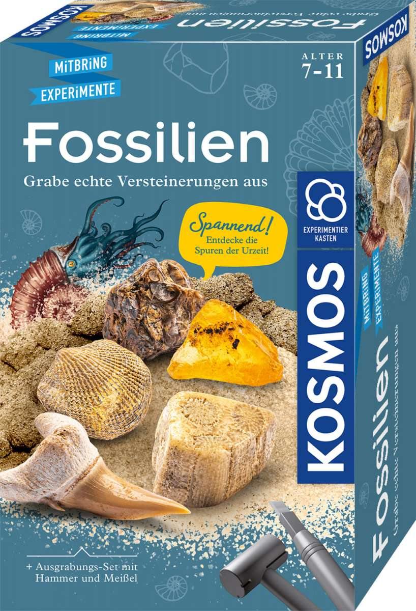 Geologie KOSMOS Ausgrabungsset Fossilien