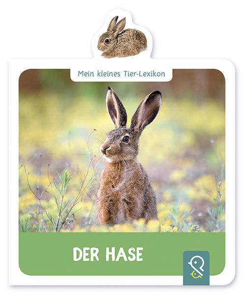 Sachbuch klein & groß Verlag Mein kleines Tier-Lexikon: Der Hase