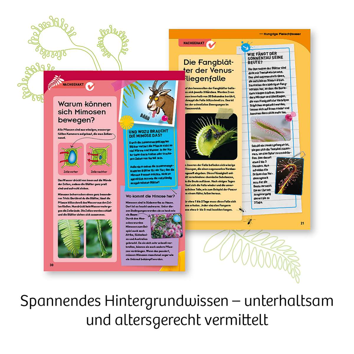 Biologie KOSMOS Fleischfressende Pflanzen