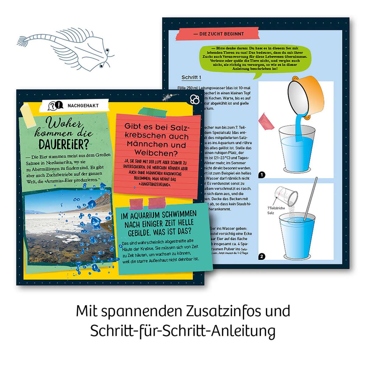 Biologie KOSMOS Urzeit-Krebse