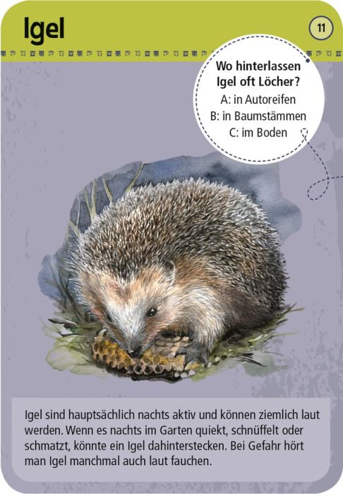 Expedition Natur - 50 Tiere der Nacht