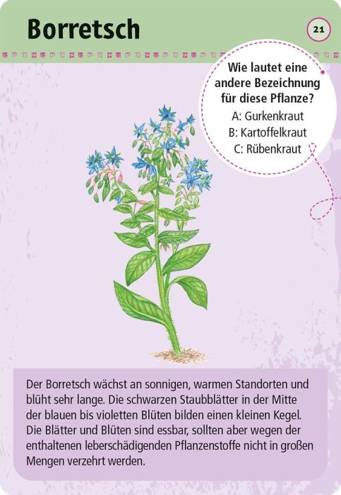 Expedition Natur 50 essbare Wildpflanzen