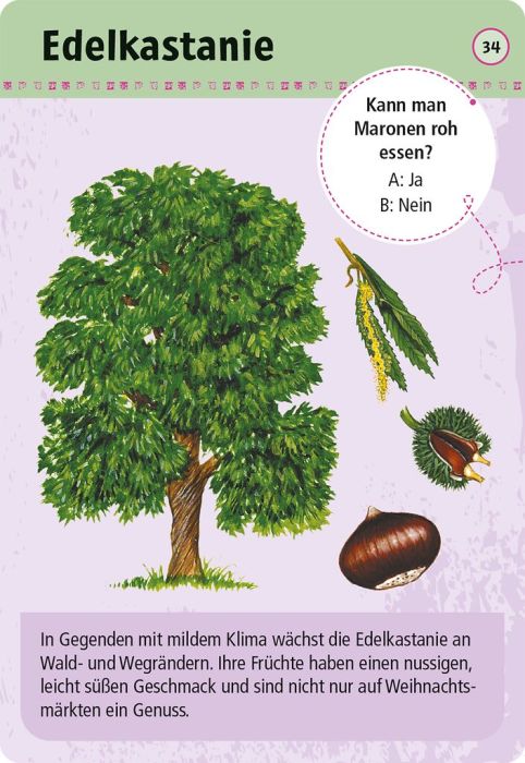 Expedition Natur 50 essbare Wildpflanzen