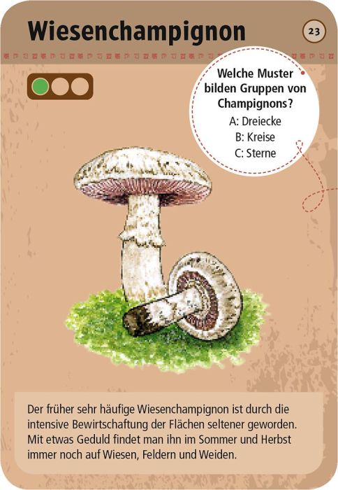 Expedition Natur - 50 heimische Pilze