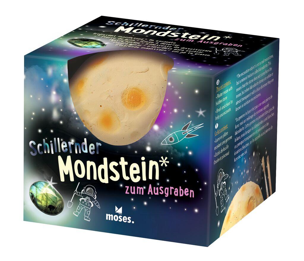 Mondsteine zum Ausgraben - WELTENTDECKER