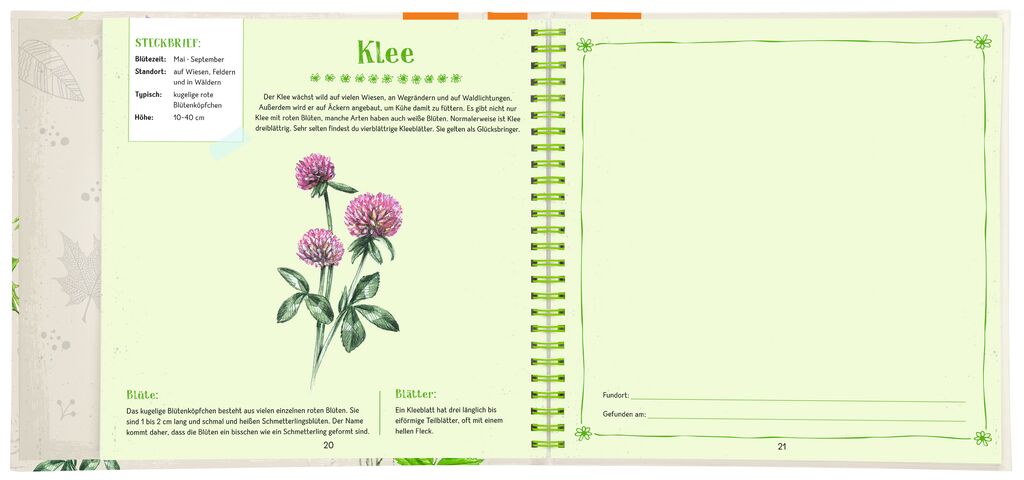 Mein Herbarium: Blüten & Blätter sammeln