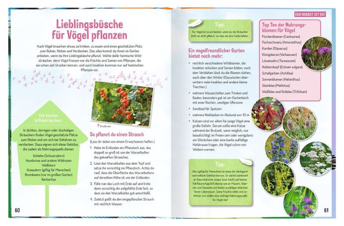 Sachbuch Moses Verlag Expedition Natur - Erforsche die Vögel - Ihr Leben rund ums Jahr
