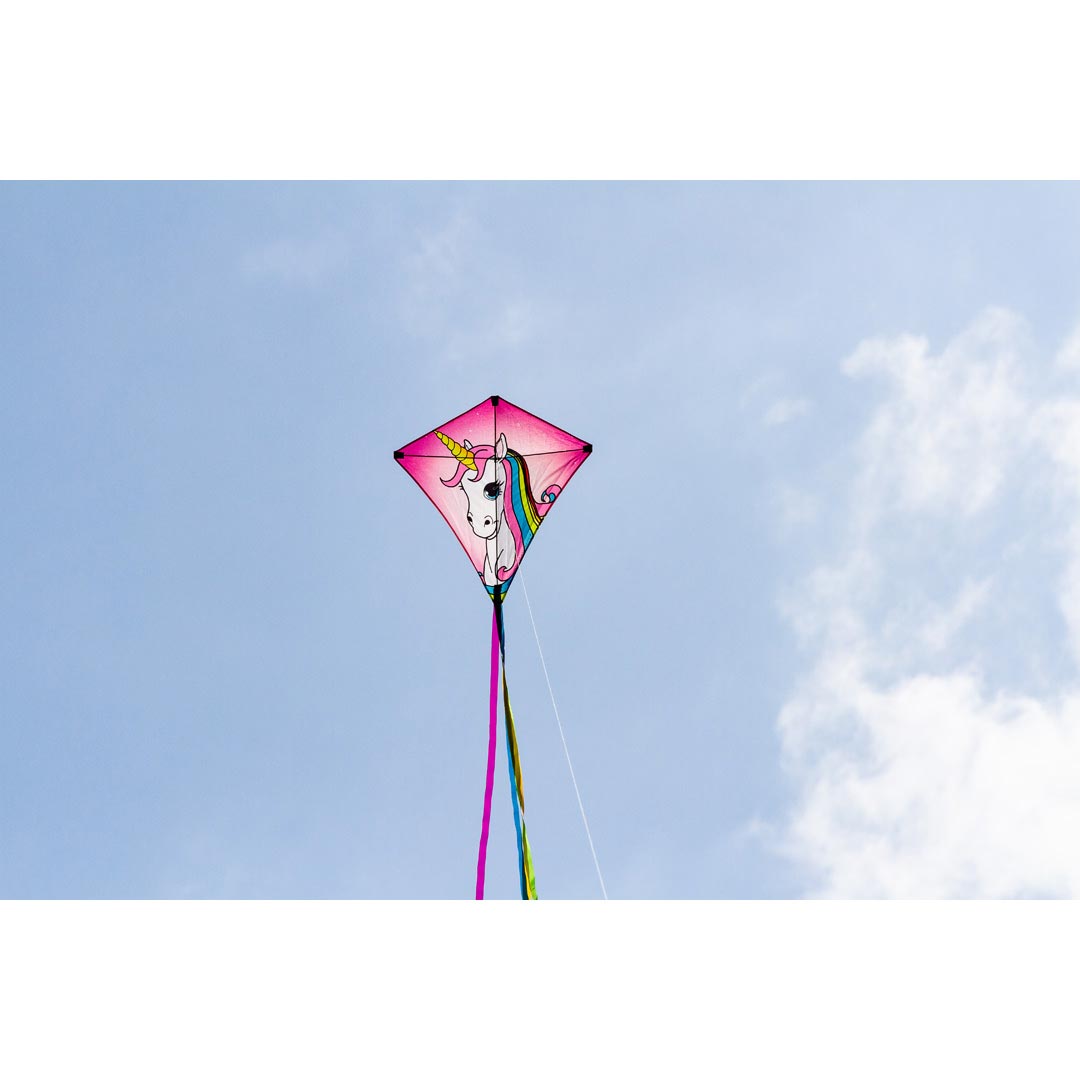 Drachen Invento Eddy Unicorn 68 cm