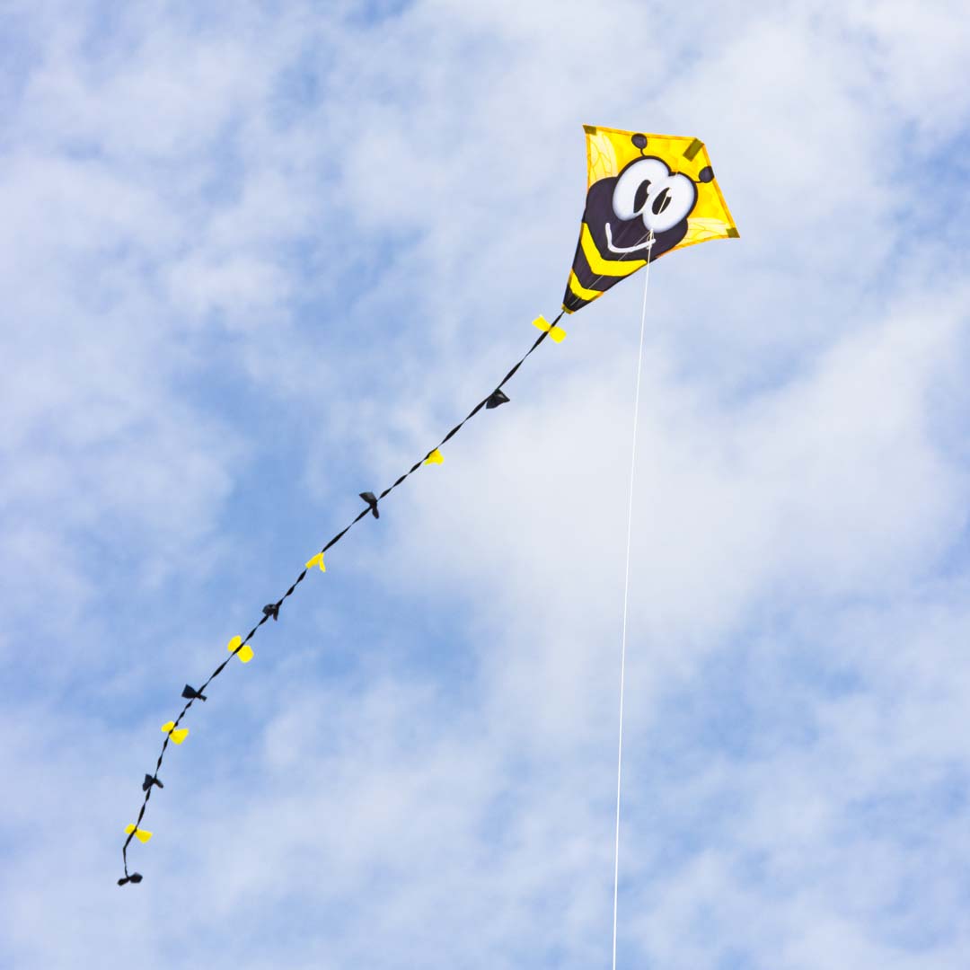 Drachen Invento Ecoline Eddy Bumble Bee 50 cm