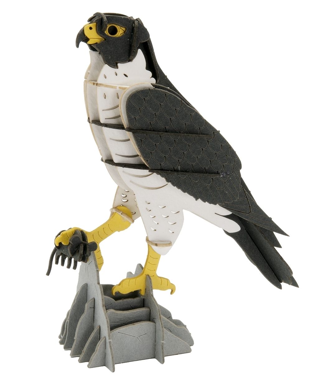 3D-Modell, Falke, Spezialkarton, gelasert