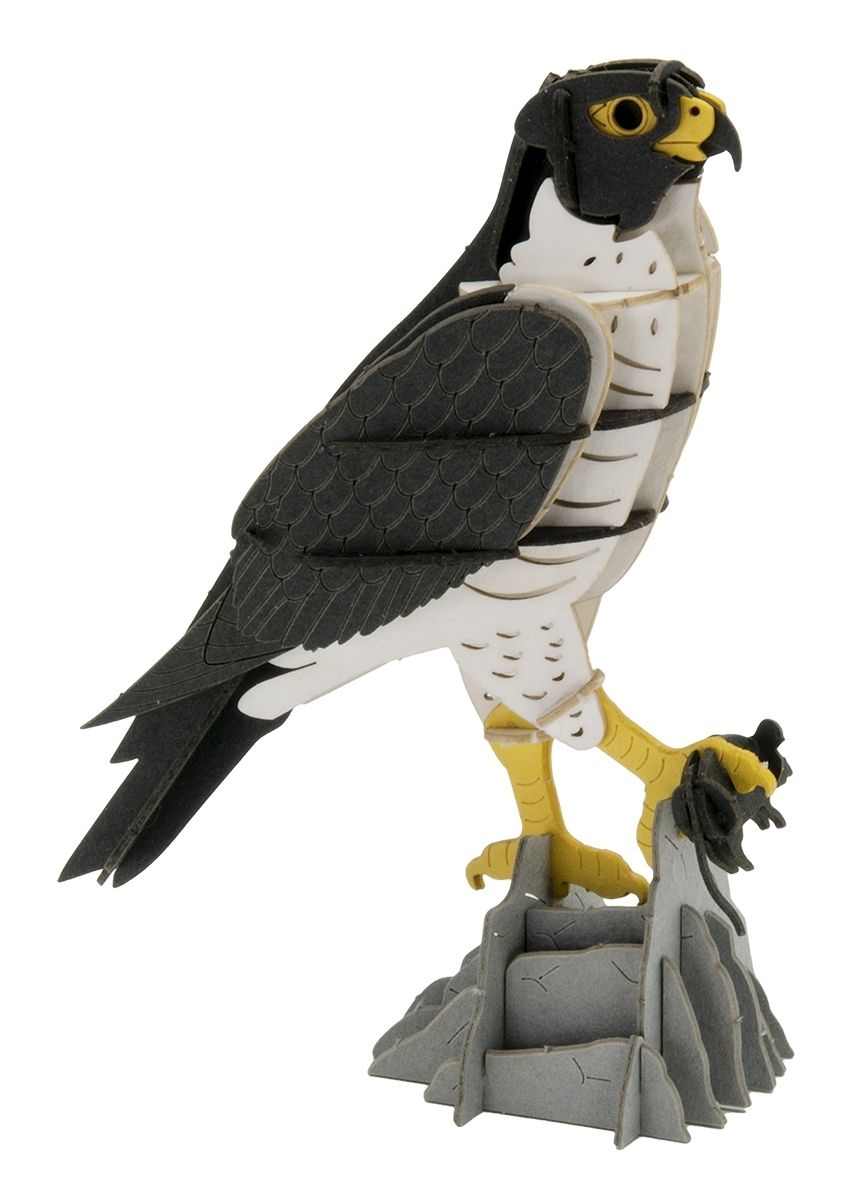 3D-Modell, Falke, Spezialkarton, gelasert