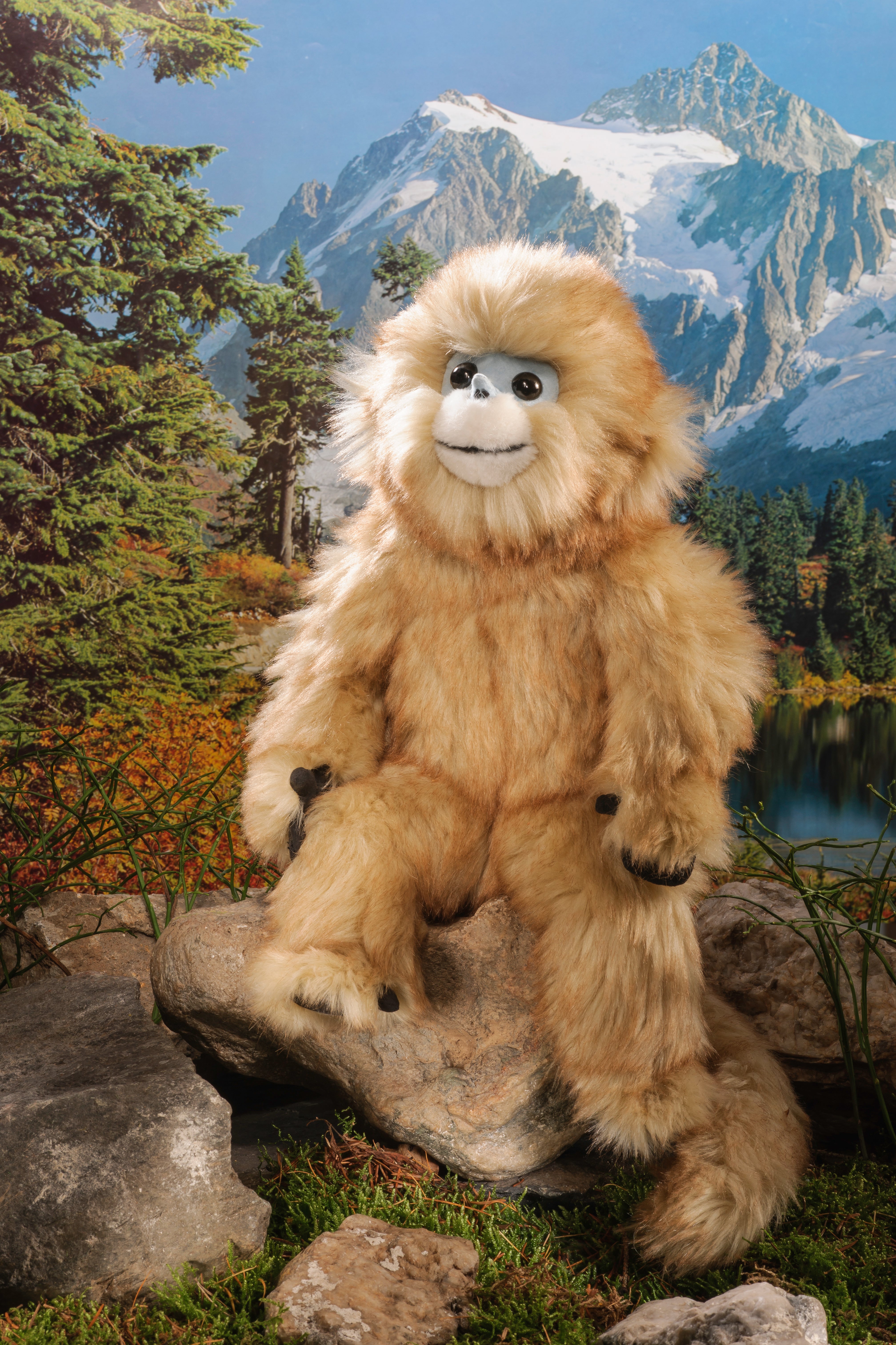 Püschtiere Kösen Goldstumpfnasenaffe, Baby