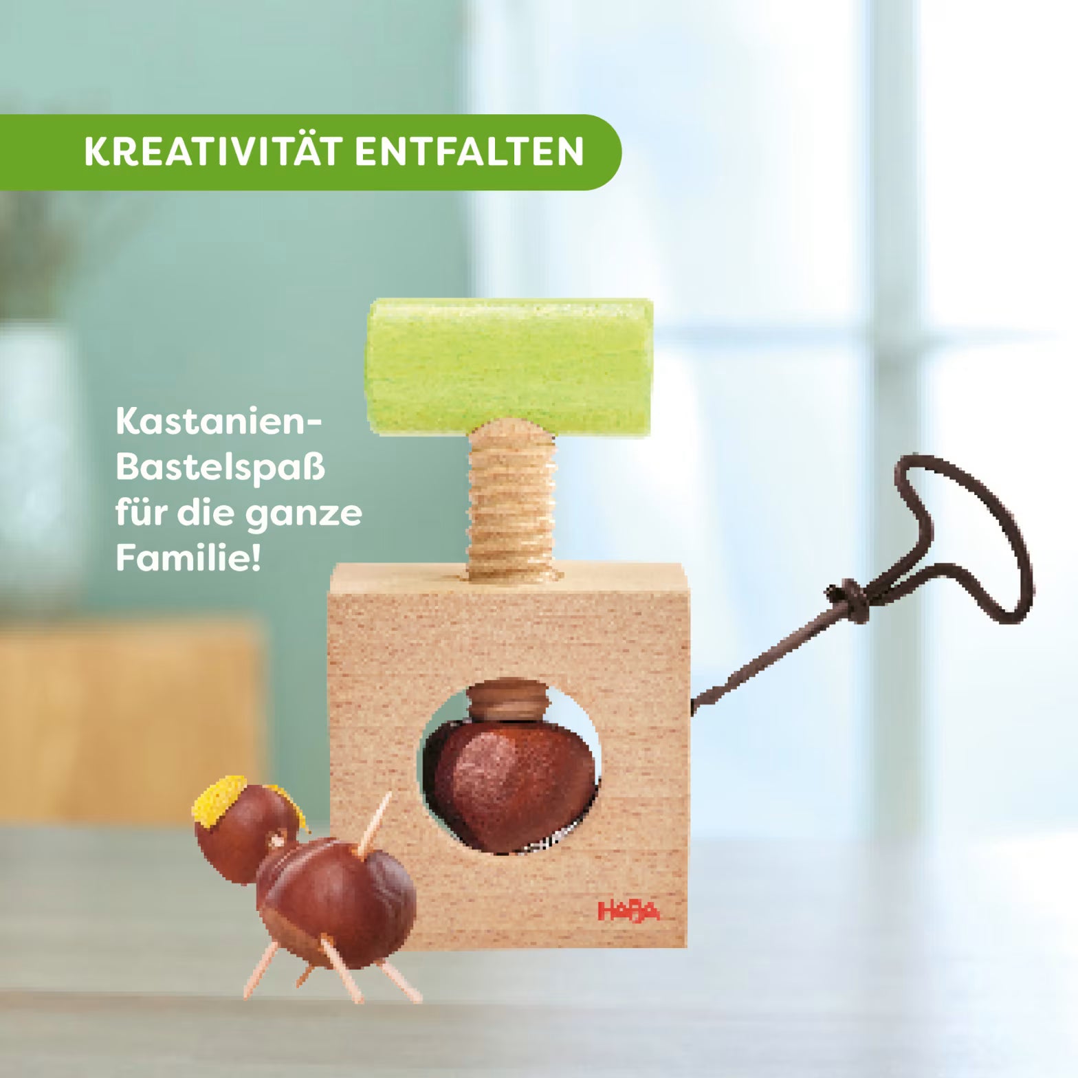 Abenteuer HABA Kastanienbohrer & Nussknacker 2-in-1