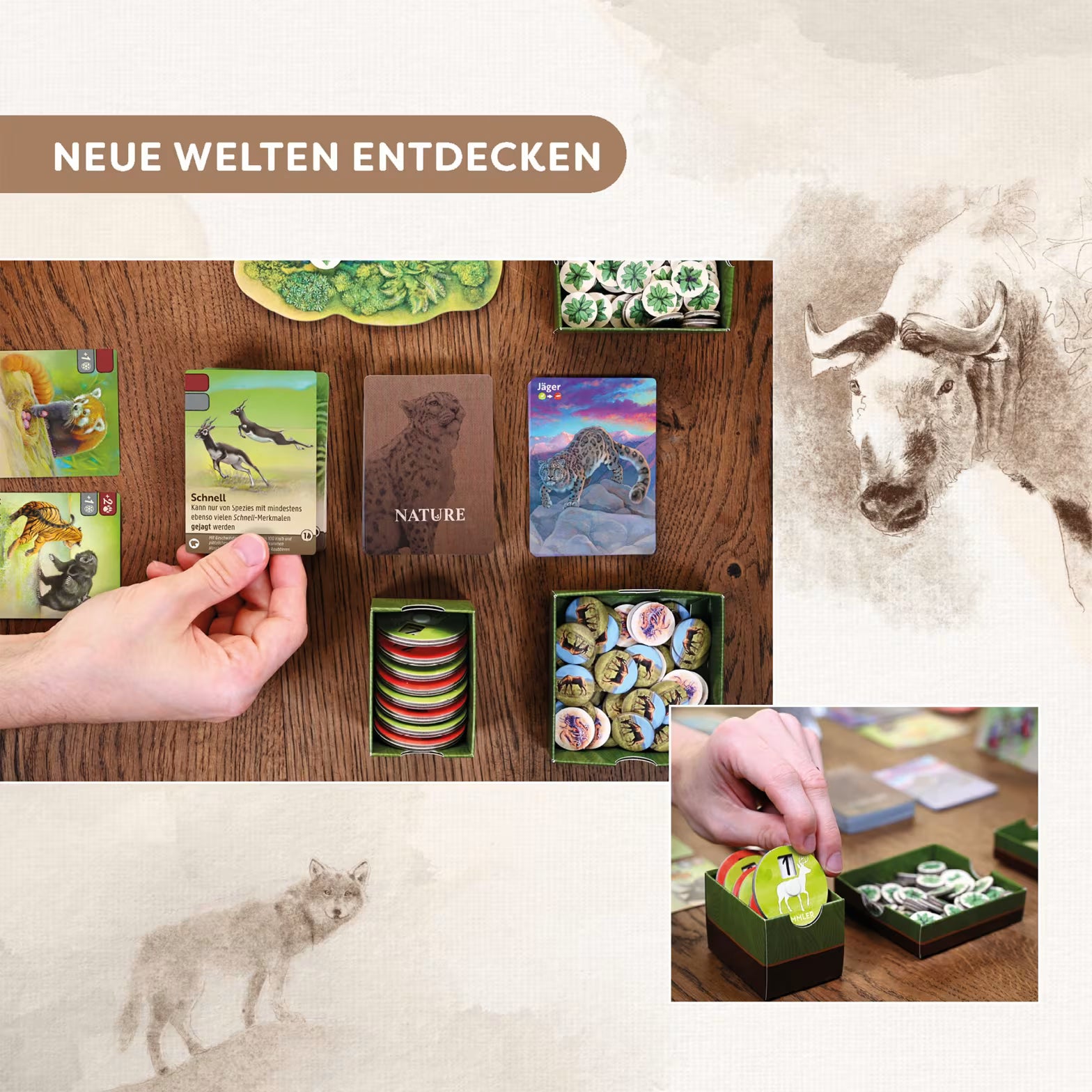Gesellschaftsspiel HABA Nature