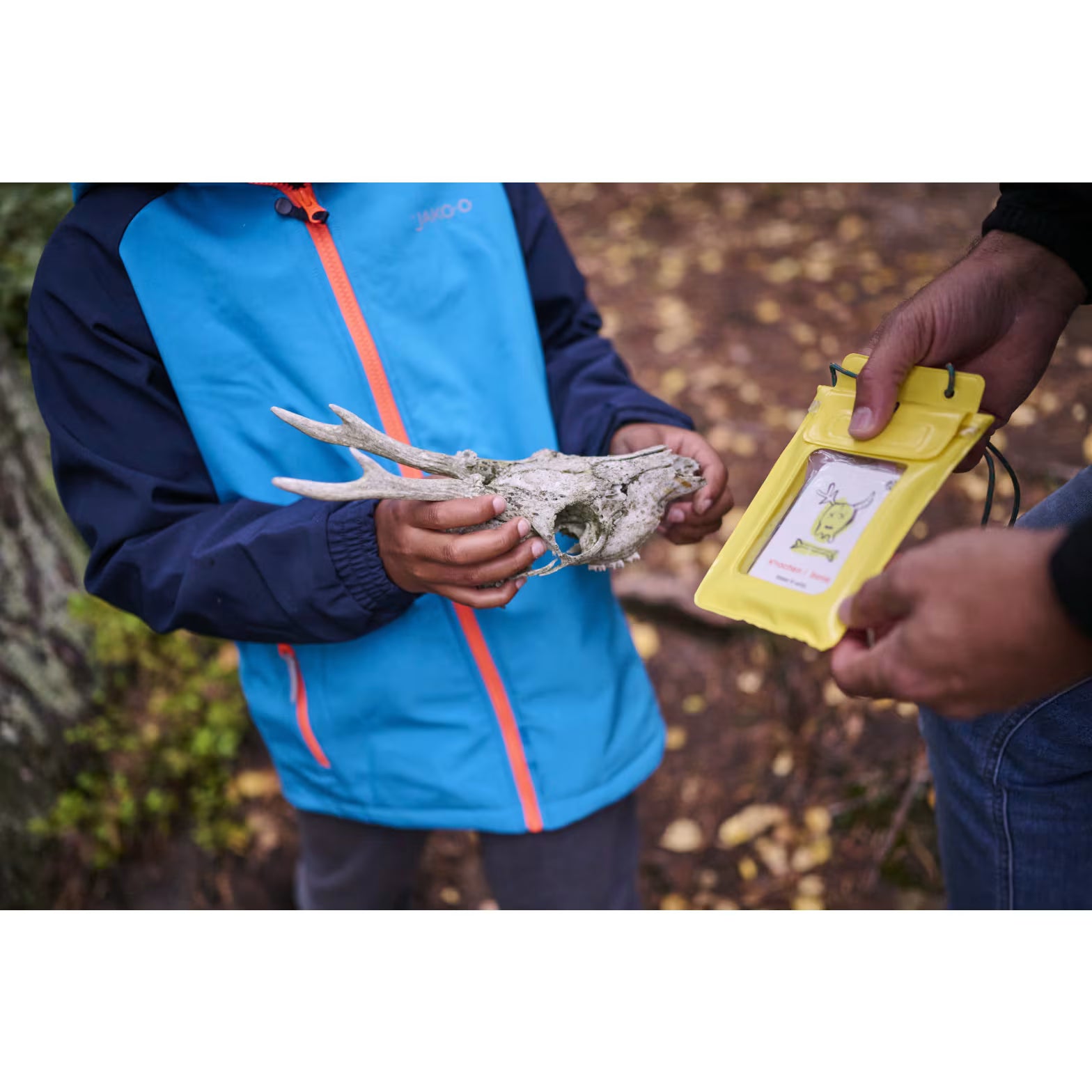 Abenteuer HABA Terra Kids | Adventure to go No. 8 | Seek and find. Suchspiel
