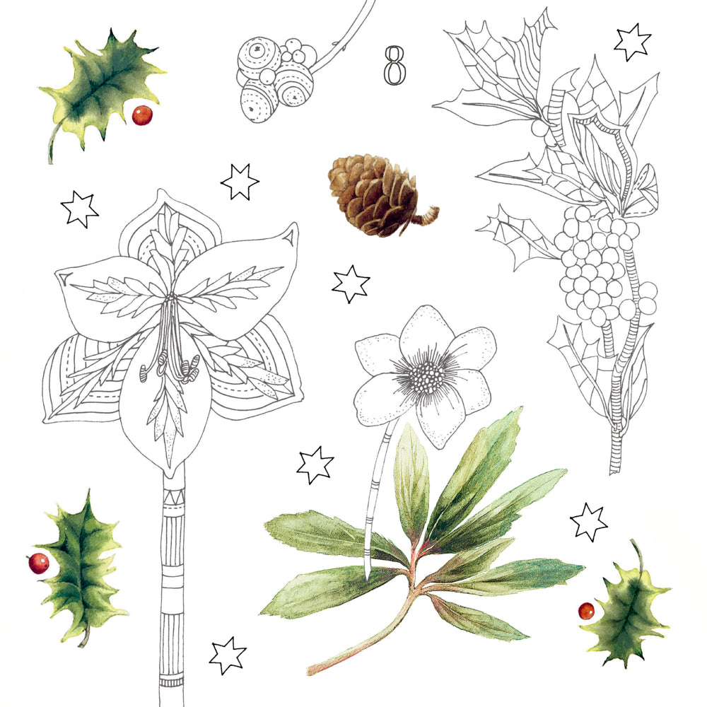 Adventskalender Coppenrath Verlag Wundervolle Winterwelt, Kreativ-Adventskalender (Bastin)