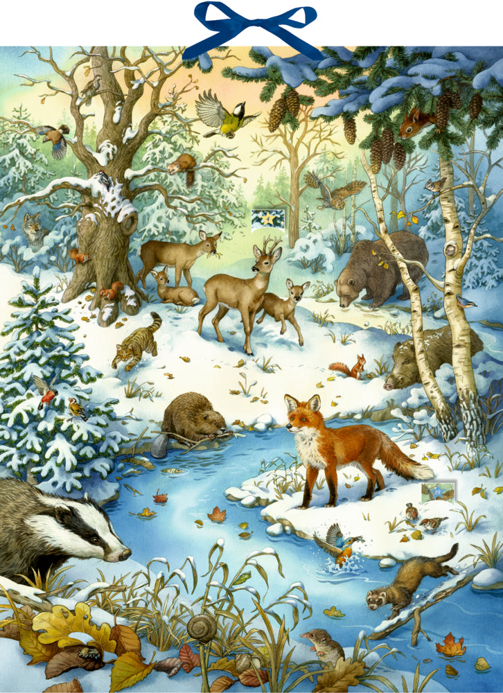 Adventskalender Coppenrath Verlag Die Tiere im Winterwald und ihr geheimes Leben, Zettel-Adventskalender