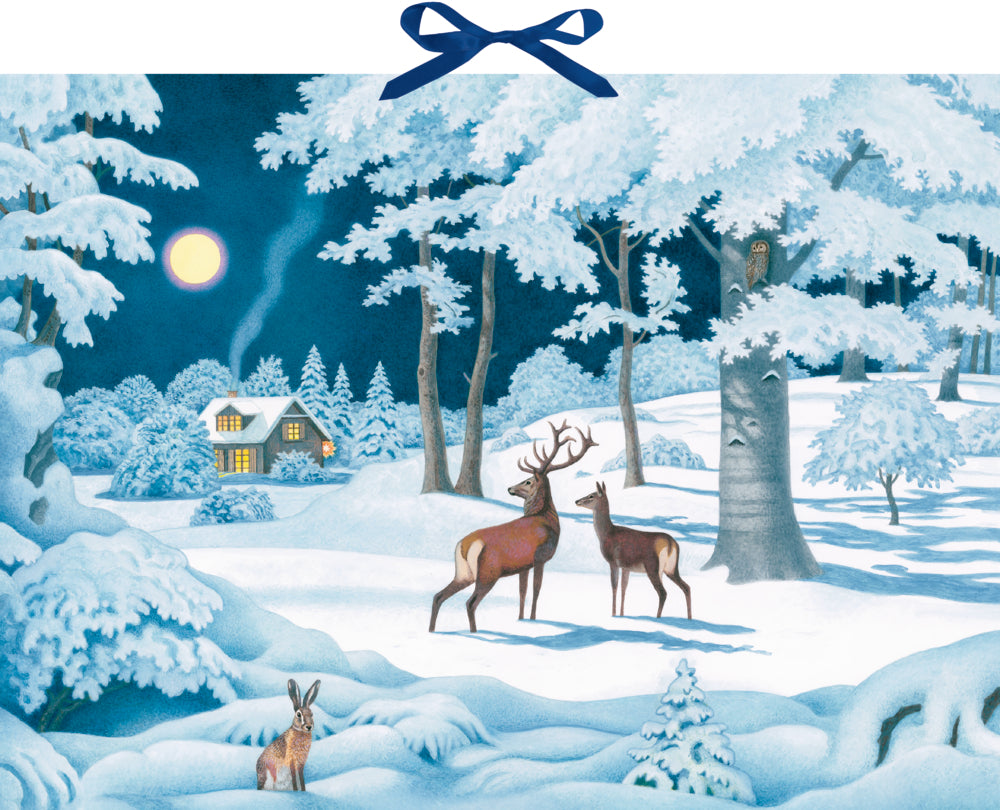Adventskalender Coppenrath Verlag Wintertiere bei Nacht, Wand-Adventskalender