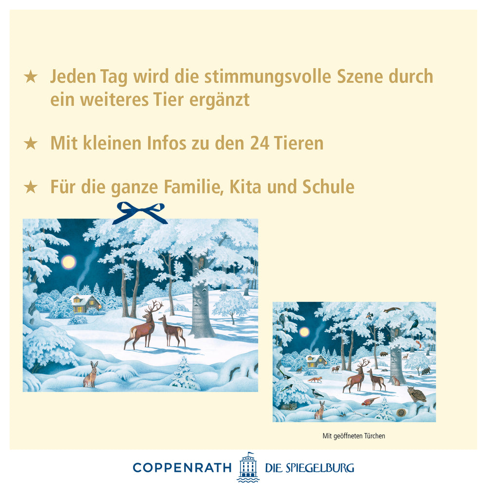 Adventskalender Coppenrath Verlag Wintertiere bei Nacht, Wand-Adventskalender