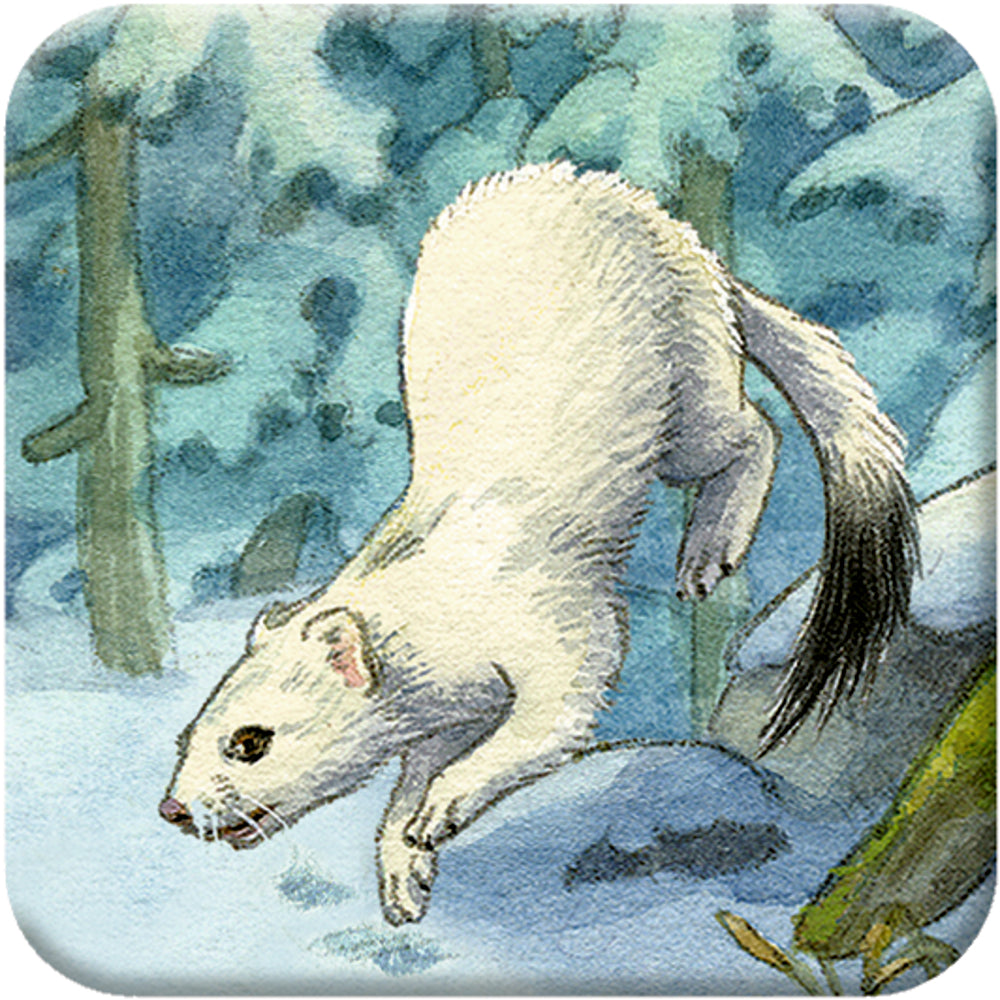 Adventskalender Coppenrath Verlag Die Tiere im Winterwald, Memo-Adventskalender